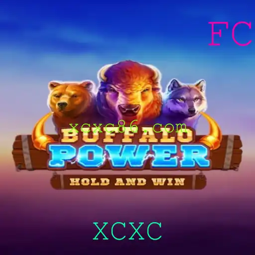 XCXC Jogos de bingo