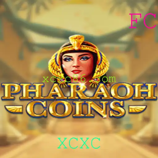 XCXC Rinha de galos