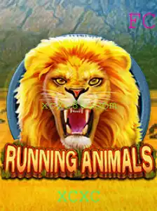 XCXC Jogos de cartas