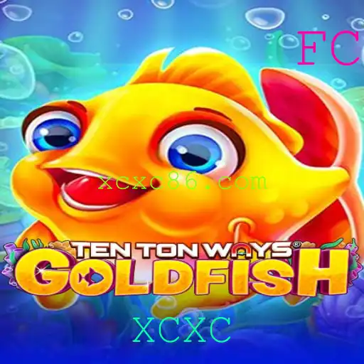 XCXC Jogos de bingo